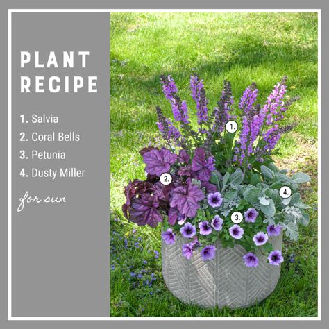 Outdoor Potted Plants, Glory Hallelujah, Potted Plants Patio, Planter Arrangements, Container Gardening Ideas, Board House, Balcony Gardening, Patio Flowers, Porch Flowers