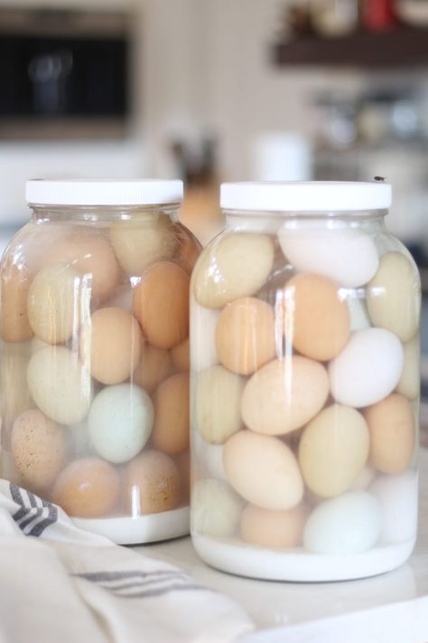 Glassing Eggs, Preserving Eggs, Homemade Laundry Detergent Liquid, Glass Eggs, Detergent Recipe, Lime Water, Sourdough Sandwich, Gallon Jars, Glass Store