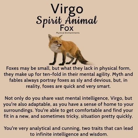 Virgo Spirit Animal, Virgo Animal, Virgo Witch, September Virgo, Virgo Emotions, Virgo Goddess, Virgo Personality, Virgo Tattoo, Virgo Traits