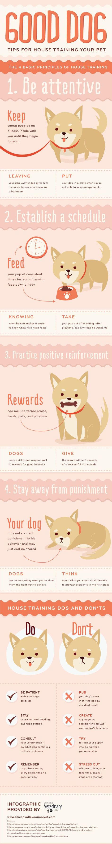 Simple and Effective Dog Training Tips! Pet Infographic, Dog Infographic, Animal Infographic, Puppy Time, Puppies Tips, Good Dog, Dog Tips, Dog Info, Puppy Care