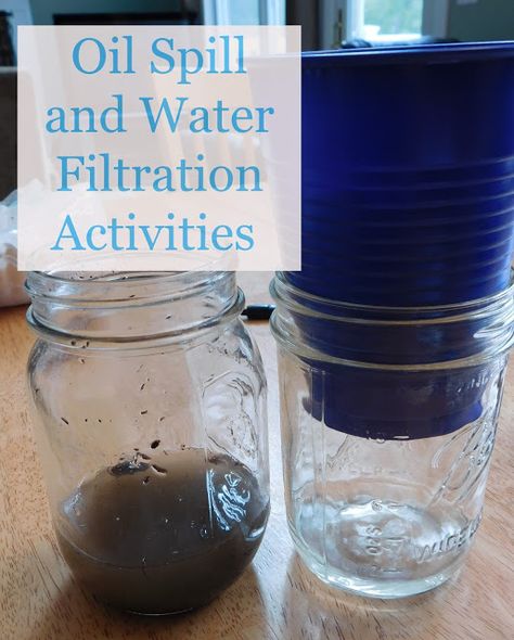 Water Filtration Experiment, Oil Spill Experiment, Homemade Lava Lamp, Frozen Yogurt Pops, Homemade Frozen Yogurt, Sink Or Float, Middle School Science Experiments, Mushroom Spores, Nature Studies