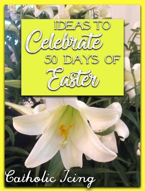 Celebrating The Entire Easter Season With Catholic Kids- All 50 Days! Resurrection Party, Pentecost Craft, Catholic Icing, Easter Countdown, Easter Chick Craft, Catholic Easter, Divine Mercy Sunday, Catholic Lent, Easter Symbols