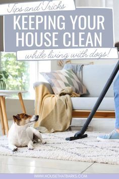 How To Keep Your House Clean With Dogs, Clean House With Dogs, Keeping A Clean House, Keep Your House Clean, Frozen Dog Treats, Living With Dogs, Frozen Dog, Love My Sister, Dog Pee