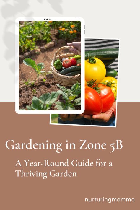 5b Gardening Zone, Zone 5b Gardening, Colorado Gardening, Prune Fruit, Crop Rotation, Gardening Zones, Thriving Garden, Soil Testing, Food Forest