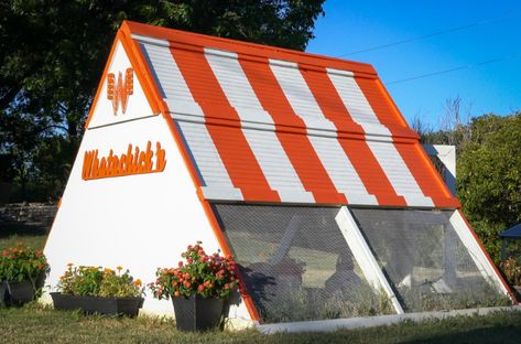 This Whataburger-Themed Chicken Coop is the Most Texas Thing We've Ever Seen Kfc Chicken Coop, Spicy Ketchup, Out In The Country, Only In Texas, Backyard Chicken Coop Plans, Kfc Chicken, Jeff Goldblum, Chicken Fried Steak, Chicken Lady