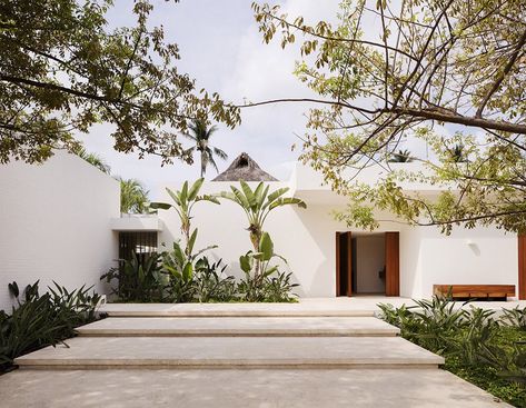 Outdoor, Shrubs, Front Yard, Hanging Lighting, Walkways, Trees, Concrete Patio, Porch, Deck, and Large Patio, Porch, Deck The brick walls of Casa TM were covered in white stucco, a minimalist choice that sets the stage for the pared-back interiors. Mexican Modern House, Mexican Courtyard, Exterior Wall Lights, Modern Mexican Home, Casa Cook, Mexico House, Courtyard Design, Minimal Architecture, Modern Mexican