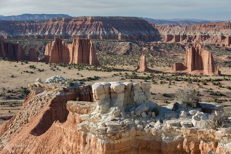 https://flic.kr/p/Ko3jiv | Cathedral Valley Overlook | I drove over a thousand miles around Utah, and almost all my postable pictures came from Cathedral Valley -- D'oh! Cathedral Valley Capitol Reef, Cathedral Grove, Cathedral Spires South Dakota, Salt Cathedral Of Zipaquira, St. Paul’s Cathedral, Utah, Grand Canyon, Travel Destinations, Natural Landmarks