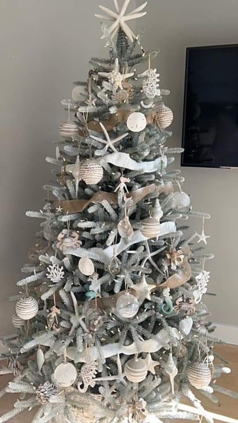 Beach Theme Christmas Tree Ideas, Coastal Christmas Tree Ideas, Beach Theme House, Beach Christmas Trees, Christmas Living Room Decor, Coastal Christmas Tree, Florida Christmas, Coastal Christmas Decor, Christmas Living Room