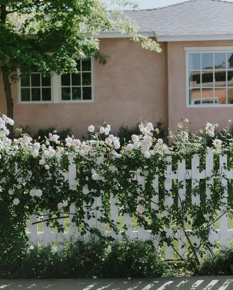 House Trellis, White Picket Fence Ideas, Laurel Cottage, Picket Fence Ideas, Landscaping House, Wood Gates Driveway, Sweet Laurel, Countryside Garden, Nashville House