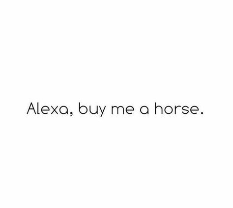 Horse Memes, Equestrian Quotes, Equestrian Girls, Hunter Jumper, Wise Words Quotes, Horse Lovers, Horse Life, Horse Stuff, Cowgirl Boots