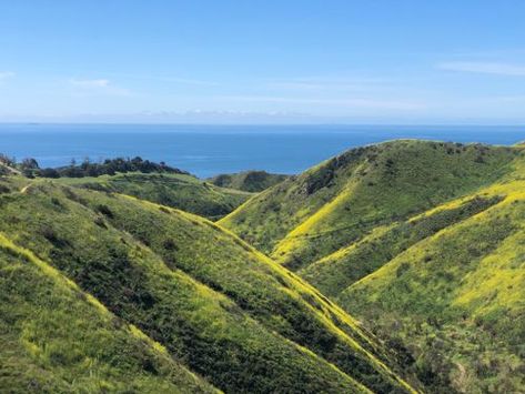 Solstice Canyon Loop, Santa Monica Mountains National Recreation Area, Malibu, California, United States of America | AllTrails.com Malibu Hikes, La Hikes, Hikes In Los Angeles, Santa Monica Mountains, Channel Islands National Park, Waterfall Trail, Malibu Beaches, Trail Maps, Ocean Views