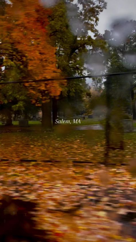 Salem, Massachusetts in October 🎃🍂 #halloween #salem #massachusetts #october #fall #autumn #fyp #parati #octubre #fallaesthetic #rain #autumnvibes #cozy #pumpkin #diadebrujas #brujas #calabaza #halloweeninsalem #halloweeninmassachussetts #halloweenintheusa Fall In Salem, Autumn In Salem, Halloween Salem Massachusetts, Salem Massachusetts Aesthetic, Salem Massachusetts In October, Salem Massachusetts October, Salem Massachusetts, Vision Board Pictures, October Halloween