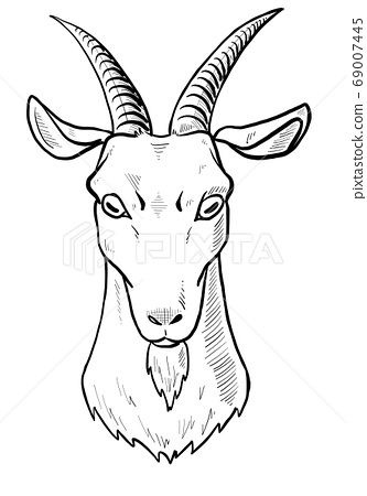 Goat head (line drawing) - Stock Illustration(No.69007445). Find images exactly you are looking for from more than 68,400,000 of royalty-free stock photos, illustrations, and vectors. Download and enjoy fresh & incredible images added every day. Elephant Coloring Page, Goat Head, Money Images, Bone Art, Elephant Head, Drawing Reference Poses, Drawing Reference, Animal Drawings, Line Drawing