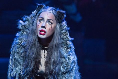 Photo 10 of 10 | The company of Cats. | Show Photos: Cats | Broadway.com Cats The Musical Costume, Musical Theatre Songs, Broadway Playbills, Jellicle Cats, Andrew Lloyd Webber, Ella Enchanted, Leona Lewis, Cats Musical, Led Fashion