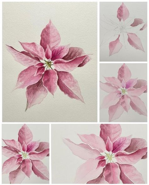 Poinsettia Watercolor Paintings, How To Paint A Watercolor Poinsettia, Watercolor Poinsettia Tutorial, White Poinsettia Painting, Christmas Aquarell, Watercolour Pointsettia, Pink Painting, Poinsettia Flower, Well Wishes