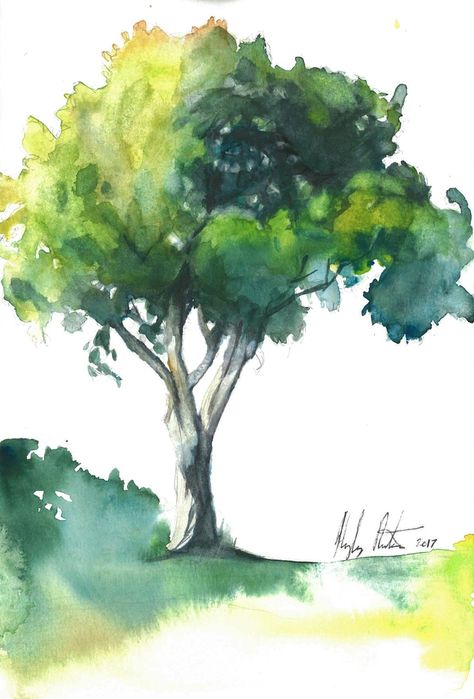 Mango tree by Hayley Rutger Mango Tree Drawing, Black Christmas Tree Decorations, Tree Tattoo Small, Tree Watercolor, Willow Tree Figurines, Nature Watercolor, Tree Sketches, Mango Tree, Watercolor Tree