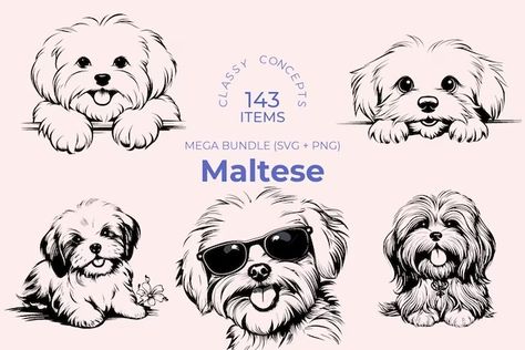 Dog Themed Crafts, Outline Images, Silky Terrier, Maltese Puppy, Desenho Tattoo, Maltese Dogs, Silhouette Png, Clipart Black And White, Dog Tattoo