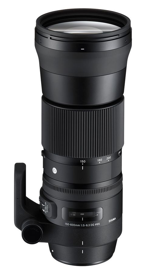 Sigma Reveals Pricing and Availability for 24mm F/1.4 Art Lens and 150-600mm Contemporary Lens | Shutterbug Panning Photography, Camera Car, Telephoto Zoom Lens, Camera Hacks, Canon Lens, Photography Gear, Camera Equipment, Camera Nikon, Canon Camera