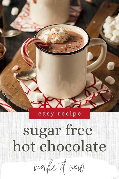 Hot Chocolate For Diabetics, Homemade Sugar Free Hot Chocolate, Stevia Hot Chocolate Recipe, Homemade Sugar Free Hot Cocoa Mix Recipe, Sugar Free Cocoa Mix Recipe, Sugar Free Hot Chocolate Mix Recipe Dry, Sugar Free Hot Cocoa Mix Recipe, Hot Chocolate With Almond Milk, Low Sugar Hot Chocolate