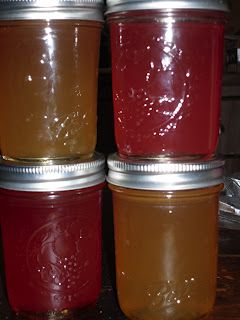 ~Simply Loving Home~: November Can Jam.... Apple Cider Jelly Tangerine Jelly, Canning Apples, Leftover Apples, Can Jam, Canning Ideas, Apple Jelly, Canning Food, Canning Jam, Canned Food Storage