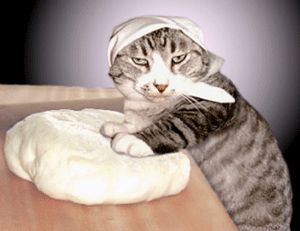 Kneading- When you combine the grain, by way of water, to turn it into grain is forbidden on Shabbos, even if you're an unhappy cat chef. Cookie Images, Kneading Dough, Magic Cat, Cat Theme, Meeting New People, Images Gif, Original Artists, A Cat, Feline