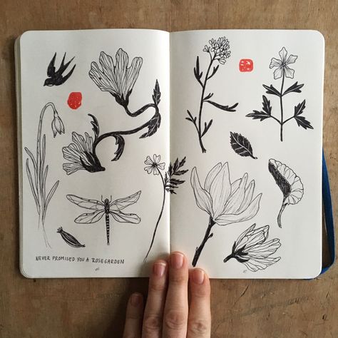 Floral Sketchbook Ideas, Botanical Illustration Sketchbook, Botanical Journal Sketch Books, Botanical Drawings Sketchbooks, Plant Sketchbook, Sketchbook Composition, Drawing Ideas Creative Sketchbooks, Sketchbook Flowers, Drawing Diary