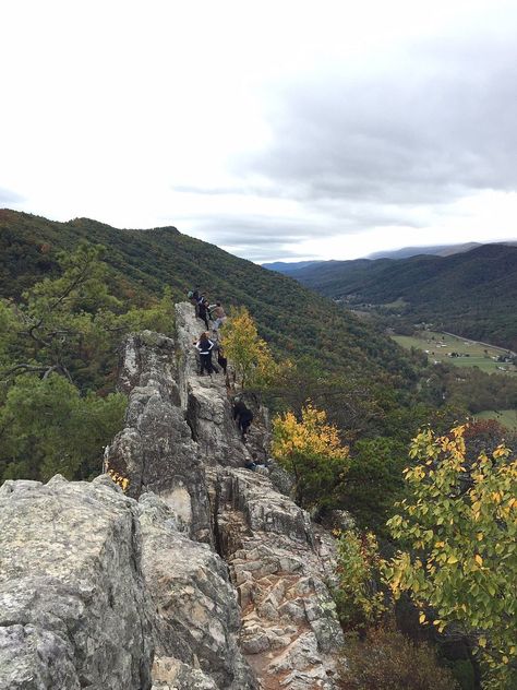 Seneca Rocks, WV: All You Must Know Before You Go (2024) - Tripadvisor West Virginia Vacation, Seneca Rocks, Virginia Vacation, Travel Stuff, New Adventures, Adventure Awaits, West Virginia, Trip Advisor, You Must