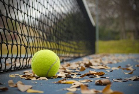 Fall Programs Begin September 8 | Wessen Indoor Tennis Club Indoor Tennis, Tennis Aesthetic, Playing Tennis, Tennis Tops, Tennis Club, Tennis Clubs, Icon Icon, September 8, Tennis Balls