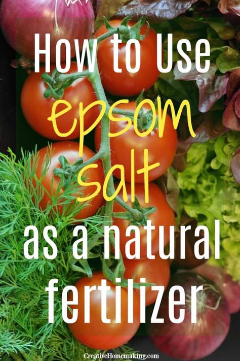 Epsom Salt Fertilizer, Epsom Salt For Tomatoes, Epsom Salt For Plants, Epsom Salt Garden, Tomato Fertilizer, Epson Salt, Garden Fertilizer, Natural Fertilizer, Fertilizer For Plants