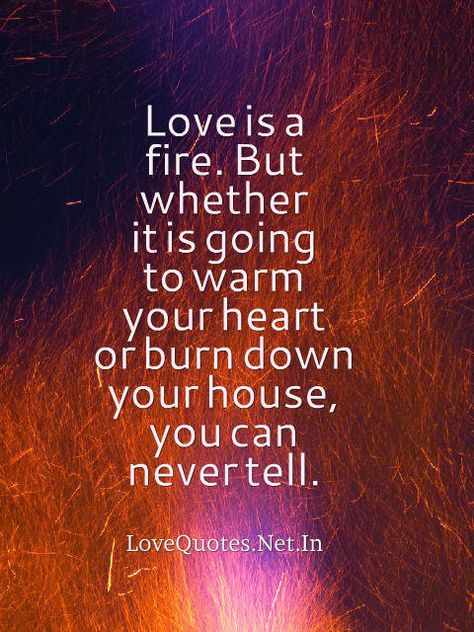 Love is a fire. But whether it is going to warm your heart or burn down your house, you can never tell. Phoenix Quotes, Spiritual Tattoo, Firefighter Quotes, Fire Inside, Tumblr Quotes, I Survived, Tattoo Idea, A Fire, The Fire