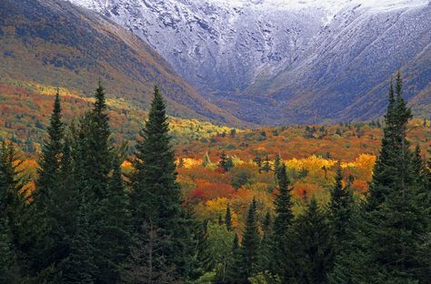 Top Things To Do in New Hampshire's White Mountains New Hampshire Fall, White Mountains New Hampshire, Sky Go, White Mountain National Forest, Lost River, Fall Vacations, Mountain Getaway, Forest View, Nature Posters