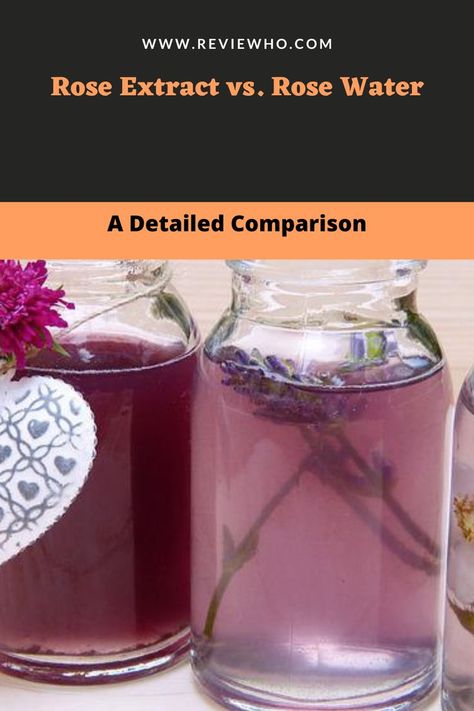 Rose Extract vs. Rose Water Rose Extract, Rose Water, Food To Make, Water