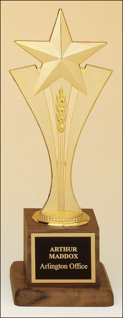 Trophy Ideas, Acrylic Trophy, Award Trophy, Certificate Background, Award Display, Plaque Design, Glass Awards, Crystal Awards, Acrylic Awards