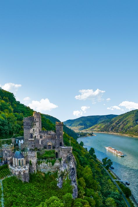 Gothic Cities, Viking River Cruise Rhine, Backyard Vineyard, Vineyard Photography, Vineyard Art, Rhine River Cruise, Viking Cruises, Europe Germany, Rhine River