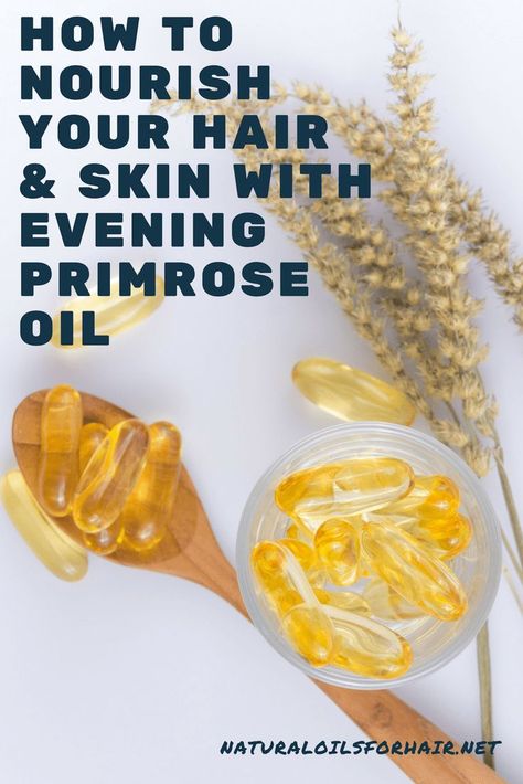 How to nourish your hair and skin with evening primrose oil. #hair #beauty #skincare #healthyhair #haircare #naturaloils #eveningprimroseoil #beautifulskin #glowingskin Evening Primrose Benefits, Prim Rose Oil Benefits, Primrose Oil Benefits, Evening Primrose Oil Benefits, Essential Oil For Skin, Evening Hair, Moisturizing Body Oil, Oil For Skin, Natural Hair Oils