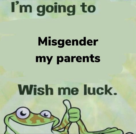 I am immature with handling a unsupportive household. ‘misgendering’ my cis parents to try combat them doing that to me. Transphobic Parents, Unsupportive Parents, Trans Things, Parenting Memes, Mood Pics, Arsenal, Random Stuff, Parenting, Memes