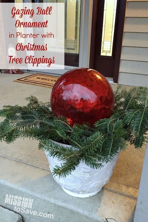 If you get a live tree for the holiday, gather up those Christmas tree clippings!  I love to use mine with gazing ball "ornaments" in my porch planters.  See the post for more ways to use Christmas Tree clippings in your holiday decor.  A frugal decoratin Frugal Decor, Christmas Freebie, Porch Planters, Live Tree, Homemade Ornaments, Gazing Ball, Easy Entertaining, My Live, Christmas Porch