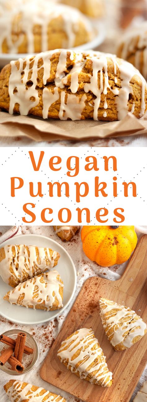 Vegan Pumpkin Scones, Scones Pumpkin, Scones Vegan, Pumpkin Scones Recipe, Vegan Scones, Future Chef, Vegan Pumpkin Recipes, Sweet Glaze, Fall Vegan Recipes