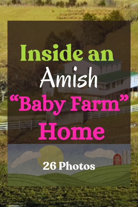 I hadn’t heard the term “baby farm” before coming across it in this listing, and I’m not sure if the Amish would use it themselves (I doubt it). But that’s how this home, one of the seven Hillsboro, KY Amish homes for sale, is described. Let's take a closer look. Amish Garden Layout, Amish Aesthetic, Amish Home, Mennonite Recipes, Amish House, Amish Farm, Richest In The World, Amish Recipes, Daily Facts