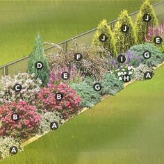 Inexpensive Backyard Ideas, Small Yard Landscaping, Privacy Landscaping, Creative Landscape, Cottage Garden Design, Flower Garden Design, Garden Shrubs, Fence Landscaping, Landscape Design Plans