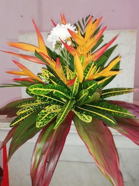 Tropical Flower Arrangements, House Plants Decor, Tropical Flower, Garden Tips, Tombstone, Tropical Flowers, Ikebana, Flower Arrangement, Plant Decor