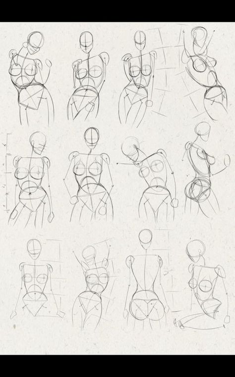 Autonomy Practice, Torso Practice, Human Body Drawing, Human Anatomy Drawing, Human Figure Drawing, Human Anatomy Art, Anatomy Sketches, Figure Sketching, 캐릭터 드로잉