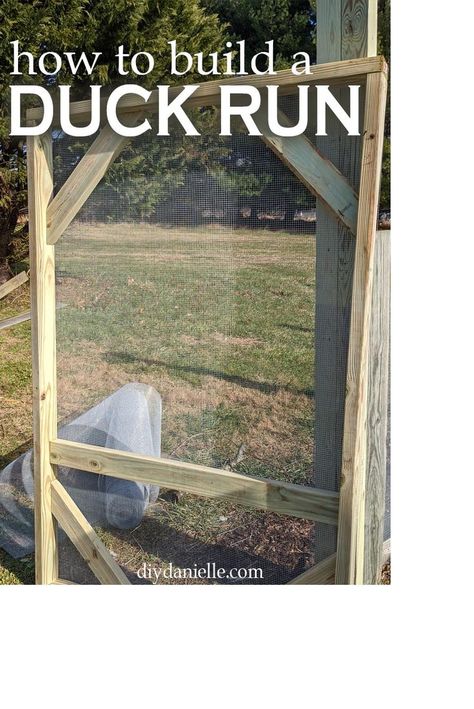 How to build a chicken run or duck run. They can be built exactly the same way, but ducks need more space due to their size. This is a relatively easy DIY!  #DIY #ducks #chickens Duck Run Ideas, Diy Duck Run, Duck Coop Ideas, Duck House Diy, Duck Run, Duck Enclosure, Duck House Plans, Duck Care, Duck Pens