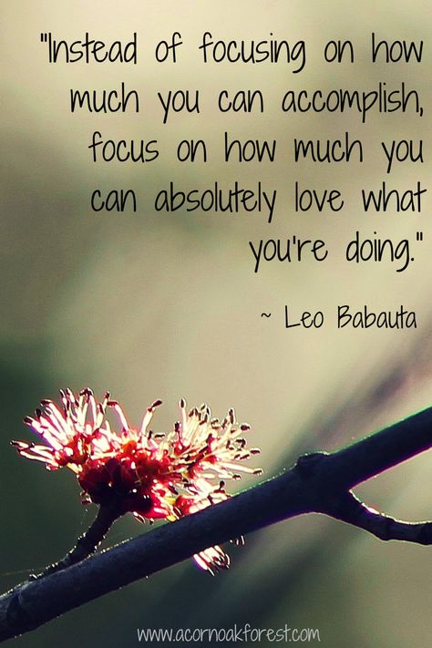 Focus on how much you can absolutely love what you're doing. ~ Leo Babauta Acorn * Oak * Forest www.acornoakforest.com Metaphysical Quotes, Dreamy Quotes, Leo Babauta, Acorn And Oak, Oak Forest, Life Philosophy, Spiritual Inspiration, Wise Quotes, Beautiful Quotes