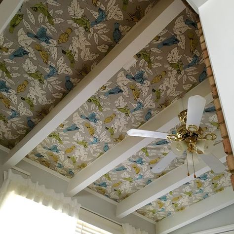 Fabric on Ceiling How Hard Can It Be? Drop Ceiling Makeover, Upholstry Fabric, Fabric Ceiling, Roof Ceiling, Basement Ceiling, Diy Ceiling, Art Decor Diy, Floor Ceiling, Built In Desk