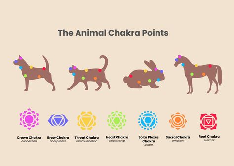 Chakra Points, Pet Healing, Chakra Chart, Essential Oils Dogs, Reiki Therapy, Chakra Healing Meditation, Animal Reiki, Puppy Mom, Illustrator Template