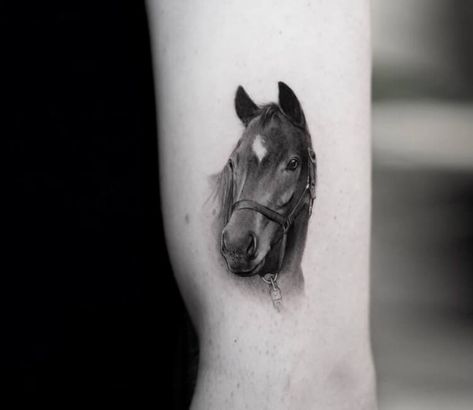 Tattoo photo - Horse head tattoo by Ben Tats Small Horse Head Tattoo, Horse Portrait Tattoo, Horse Tattoo For Men, Horse Tattoo Ideas For Women, Horse Head Tattoo, Coco Tattoo, Small Horse Tattoo, Photo Horse, Horse Tattoo Design