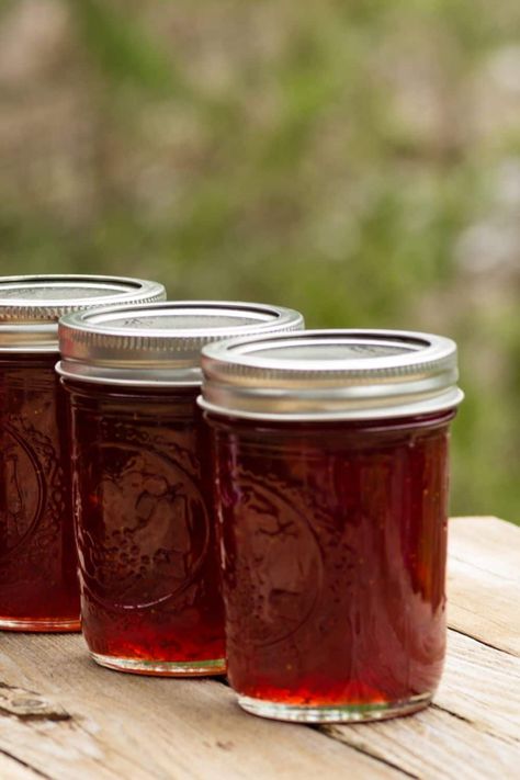 Muskidines Jelly, Muscadine Jelly Recipe With Sure Jell, Muscidime Jelly, Easy Muscadine Jelly Recipe, Muscadine Jelly Recipe, Muscadine Recipe, Muscadine Jelly, Jelly Jelly, Strawberry Freezer Jam