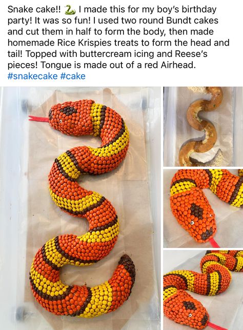 Crocodile Cake, Homemade Rice Krispies, Snake Cake, Snake Cakes, Homemade Rice Krispies Treats, Snake Party, Reptile Food, 9th Birthday Parties, Birthday Party Food