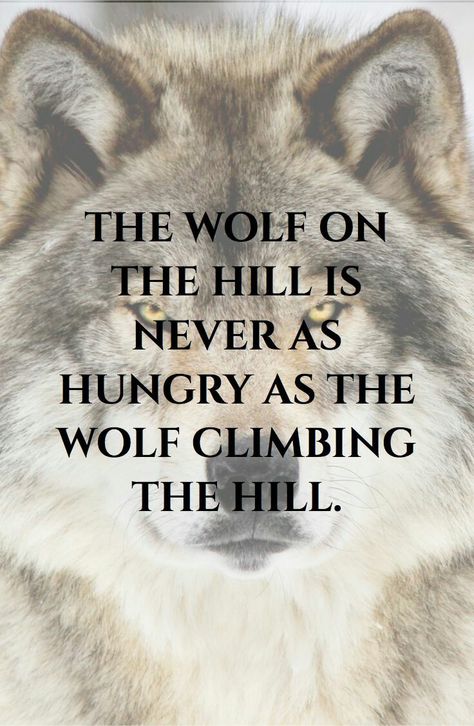 The Wolf On The Hill Is Not As Hungry, Be Hungry Quotes, Hunger Quotes Inspiration, Hungry For Success Quotes, Wolf Mindset, Motivation Quotes Work, Hunger Quote, Hungry Quotes, Hungry Wolf